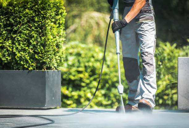 Solar Panel Cleaning in Mount Vernon, VA