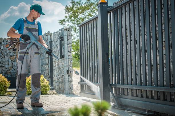 Best Roof Washing  in Mount Vernon, VA