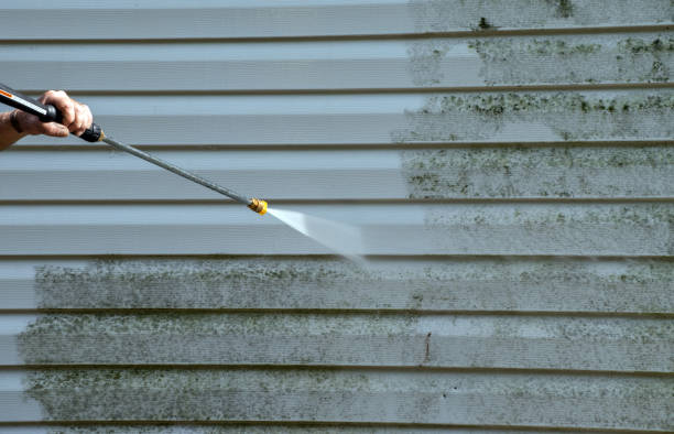 Best Sidewalk and Walkway Cleaning  in Mount Vernon, VA