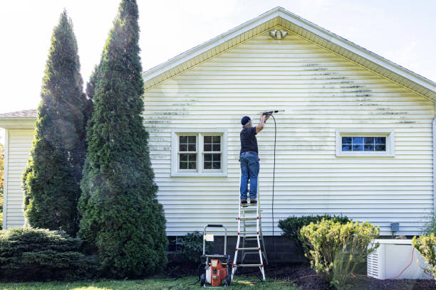 Best Building Exterior Washing  in Mount Vernon, VA